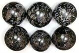 Clearance Lot: to Indigo Gabbro Spheres - Pieces #149287-1